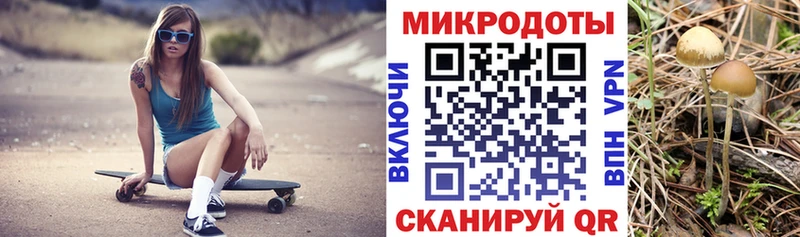 MEGA ТОР Псков Галлюциногенные грибы мицелий купить